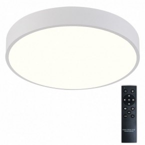 Накладной светильник Natali Kovaltseva  LED LAMPS 81112/5C в Первоуральске - pervouralsk.ok-mebel.com | фото 2