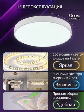 Накладной светильник Natali Kovaltseva  LED LAMPS 81112/5C в Первоуральске - pervouralsk.ok-mebel.com | фото 4