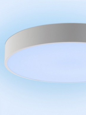 Накладной светильник Natali Kovaltseva MODERN LED LAMPS 81105/1C в Первоуральске - pervouralsk.ok-mebel.com | фото 11