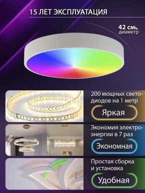 Накладной светильник Natali Kovaltseva MODERN LED LAMPS 81105/1C в Первоуральске - pervouralsk.ok-mebel.com | фото 6