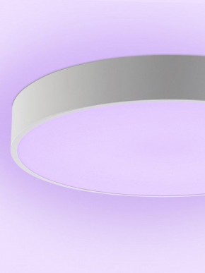 Накладной светильник Natali Kovaltseva MODERN LED LAMPS 81105/1C в Первоуральске - pervouralsk.ok-mebel.com | фото 9