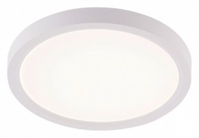 Накладной светильник Natali Kovaltseva PLAIN LED LAMPS 81113/1C в Первоуральске - pervouralsk.ok-mebel.com | фото