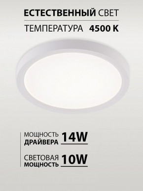 Накладной светильник Natali Kovaltseva PLAIN LED LAMPS 81113/1C в Первоуральске - pervouralsk.ok-mebel.com | фото 4