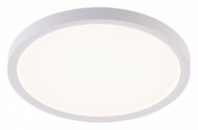 Накладной светильник Natali Kovaltseva PLAIN LED LAMPS 81113/2C в Первоуральске - pervouralsk.ok-mebel.com | фото