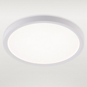 Накладной светильник Natali Kovaltseva PLAIN LED LAMPS 81113/2C в Первоуральске - pervouralsk.ok-mebel.com | фото 2