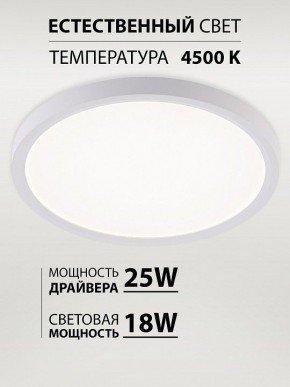 Накладной светильник Natali Kovaltseva PLAIN LED LAMPS 81113/2C в Первоуральске - pervouralsk.ok-mebel.com | фото 3