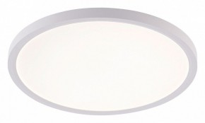 Накладной светильник Natali Kovaltseva PLAIN LED LAMPS 81113/3C в Первоуральске - pervouralsk.ok-mebel.com | фото