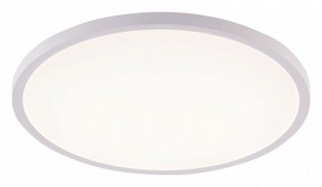 Накладной светильник Natali Kovaltseva PLAIN LED LAMPS 81113/5C в Первоуральске - pervouralsk.ok-mebel.com | фото