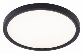 Накладной светильник Natali Kovaltseva PLAIN LED LAMPS 81114/2C в Первоуральске - pervouralsk.ok-mebel.com | фото