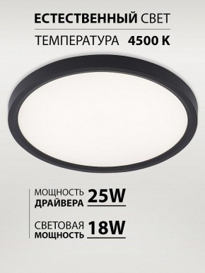 Накладной светильник Natali Kovaltseva PLAIN LED LAMPS 81114/2C в Первоуральске - pervouralsk.ok-mebel.com | фото 3