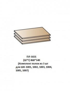 ПЛ-1021 (Комплект полок из 3 шт для ШК-1001, 1002, 1003, 1004, 1005, 1007) в Первоуральске - pervouralsk.ok-mebel.com | фото