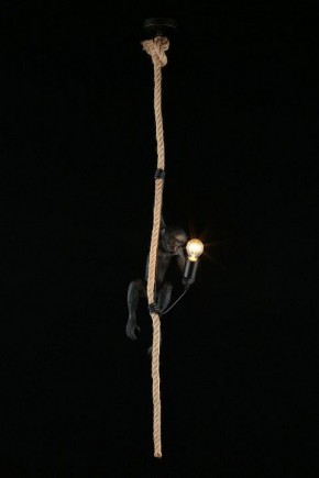 Подвесной светильник Aployt Magali APL.309.16.01 в Первоуральске - pervouralsk.ok-mebel.com | фото 3
