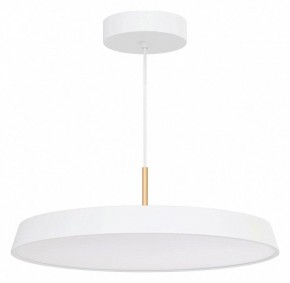 Подвесной светильник Arlight ELEGANT 033925(1) в Первоуральске - pervouralsk.ok-mebel.com | фото 2