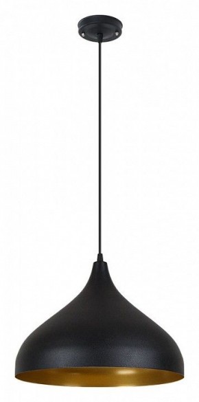 Подвесной светильник Arte Lamp Carmel A7076SP-1BK в Первоуральске - pervouralsk.ok-mebel.com | фото 2