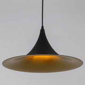 Подвесной светильник Arte Lamp Carmel A7080SP-1BK в Первоуральске - pervouralsk.ok-mebel.com | фото