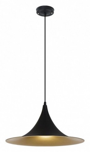 Подвесной светильник Arte Lamp Carmel A7080SP-1BK в Первоуральске - pervouralsk.ok-mebel.com | фото 2