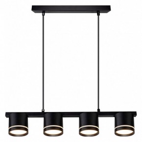 Подвесной светильник Arte Lamp Legacy A8024SP-4BK в Первоуральске - pervouralsk.ok-mebel.com | фото 2