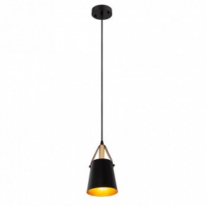 Подвесной светильник Arte Lamp Thomas A7032SP-1BK в Первоуральске - pervouralsk.ok-mebel.com | фото 3