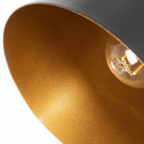 Подвесной светильник Arte Lamp Thomas A7032SP-1BK в Первоуральске - pervouralsk.ok-mebel.com | фото 5