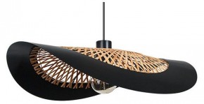 Подвесной светильник Arte Lamp Woodstock A7059SP-1BK в Первоуральске - pervouralsk.ok-mebel.com | фото