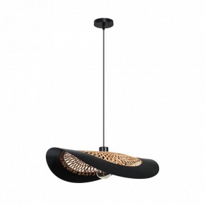 Подвесной светильник Arte Lamp Woodstock A7059SP-1BK в Первоуральске - pervouralsk.ok-mebel.com | фото 2