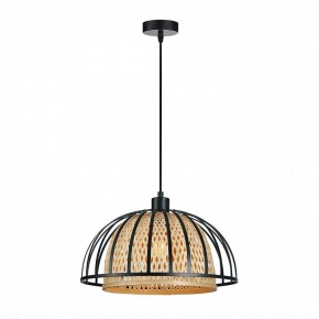 Подвесной светильник Arte Lamp Woodstock A7071SP-1BK в Первоуральске - pervouralsk.ok-mebel.com | фото