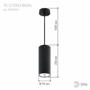 Подвесной светильник Эра  PL12 GX53 BK/SL в Первоуральске - pervouralsk.ok-mebel.com | фото 8
