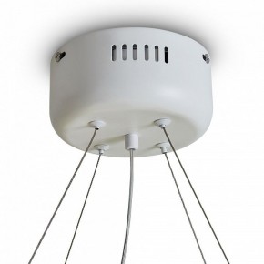 Подвесной светильник Freya Rain FR5546PL-L60W в Первоуральске - pervouralsk.ok-mebel.com | фото 9