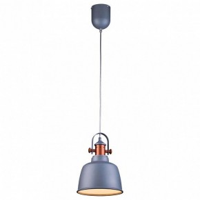 Подвесной светильник Lucia Tucci Industrial INDUSTRIAL 1820.1 SAND SILVER в Первоуральске - pervouralsk.ok-mebel.com | фото 2