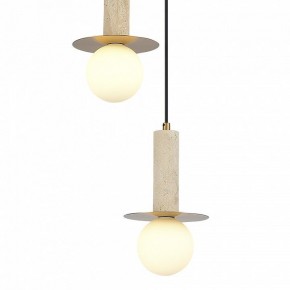 Подвесной светильник ST-Luce Earthy SL1194.303.03 в Первоуральске - pervouralsk.ok-mebel.com | фото 4