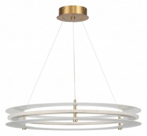 Подвесной светильник ST-Luce FAGY SL6245.203.01 в Первоуральске - pervouralsk.ok-mebel.com | фото 3