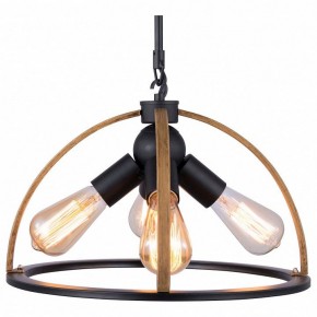 Подвесной светильник TopLight Jasmin TL1179H-04BK в Первоуральске - pervouralsk.ok-mebel.com | фото