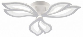 Потолочная люстра Natali Kovaltseva FORTUNA LED LAMPS 81107/2C в Первоуральске - pervouralsk.ok-mebel.com | фото