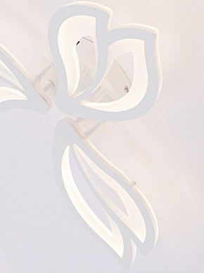 Потолочная люстра Natali Kovaltseva FORTUNA LED LAMPS 81107/2C в Первоуральске - pervouralsk.ok-mebel.com | фото 11