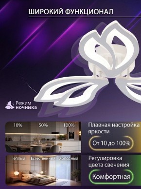 Потолочная люстра Natali Kovaltseva FORTUNA LED LAMPS 81107/2C в Первоуральске - pervouralsk.ok-mebel.com | фото 5