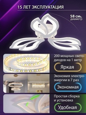 Потолочная люстра Natali Kovaltseva FORTUNA LED LAMPS 81107/2C в Первоуральске - pervouralsk.ok-mebel.com | фото 6