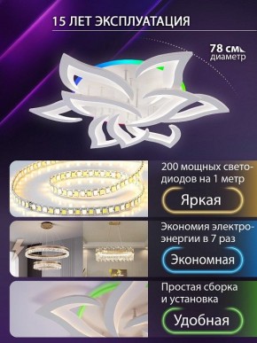 Потолочная люстра Natali Kovaltseva OLIMP LED LAMPS 81435 в Первоуральске - pervouralsk.ok-mebel.com | фото 5