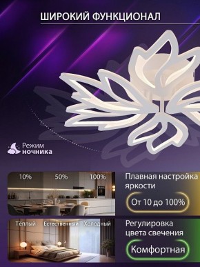 Потолочная люстра Natali Kovaltseva RIF LED LAMPS 81118/5C в Первоуральске - pervouralsk.ok-mebel.com | фото 6