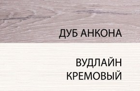 Шкаф 1DZ, OLIVIA, цвет вудлайн крем/дуб анкона в Первоуральске - pervouralsk.ok-mebel.com | фото 3