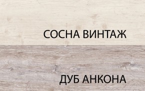 Шкаф 2D1S, MONAKO, цвет Сосна винтаж/дуб анкона в Первоуральске - pervouralsk.ok-mebel.com | фото