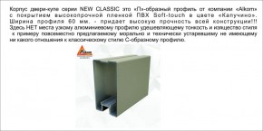 Шкаф-купе 1500 серии NEW CLASSIC K3+K3+B2+PL1 (2 ящика+1 штанга) профиль «Капучино» в Первоуральске - pervouralsk.ok-mebel.com | фото 5