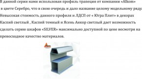 Шкаф-купе 2250 серии SILVER S3+S1+S3Z B22+PL2 (по 2 ящика лев/прав+1штанга+1 полка) профиль «Серебро» в Первоуральске - pervouralsk.ok-mebel.com | фото 4