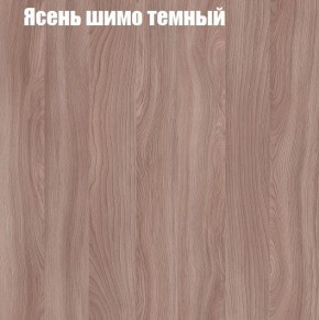 Шкаф-купе «ТАНДЕМ» 2-х дверный в алюминиевом профиле (Дверь ЛДСП+ЛДСП) 1400/h2200 в Первоуральске - pervouralsk.ok-mebel.com | фото 7