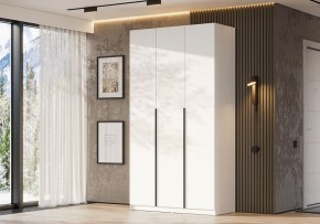 Шкаф платяной Даиго в Первоуральске - pervouralsk.ok-mebel.com | фото 3