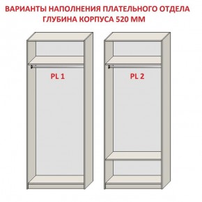 Шкаф распашной серия «ЗЕВС» (PL3/С1/PL2) в Первоуральске - pervouralsk.ok-mebel.com | фото 9