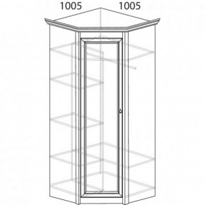 Шкаф угловой №662 "Флоренция" Фасад глухой (угол 1005*1005) Дуб оксфорд в Первоуральске - pervouralsk.ok-mebel.com | фото 3