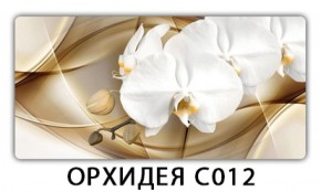 Стол раздвижной Трилогия с фотопечатью Орхидея C012 в Первоуральске - pervouralsk.ok-mebel.com | фото 13