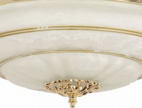 Светильник на штанге Arti Lampadari Pavia Pavia E 1.13.P40 G в Первоуральске - pervouralsk.ok-mebel.com | фото 3