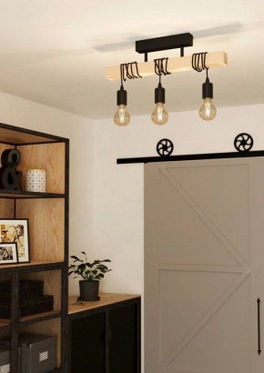 Светильник на штанге Eglo TOWNSHEND 43511 в Первоуральске - pervouralsk.ok-mebel.com | фото 2