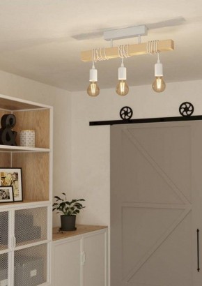 Светильник на штанге Eglo TOWNSHEND 44082 в Первоуральске - pervouralsk.ok-mebel.com | фото 2